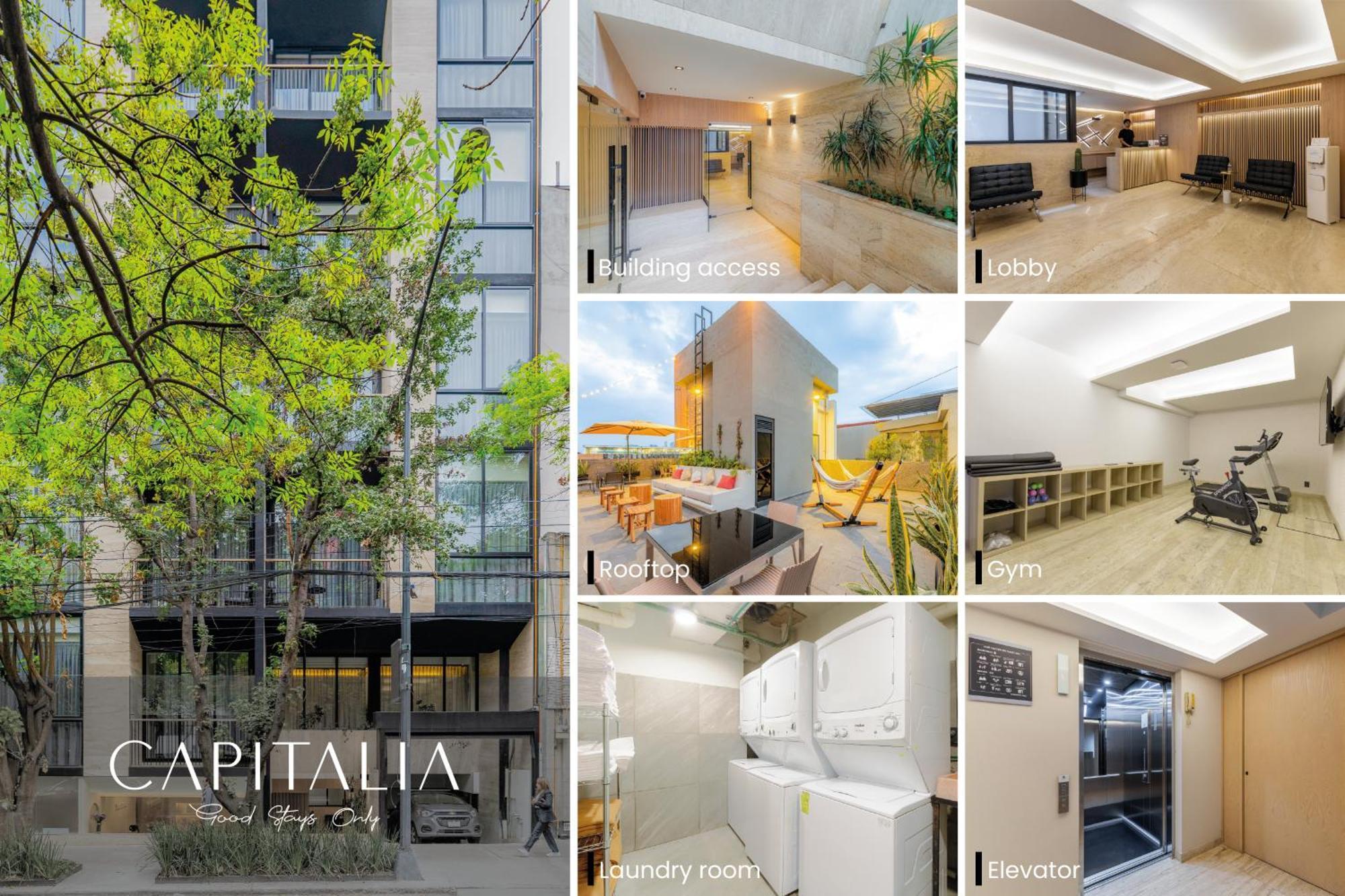 Capitalia - Luxury Apartments - Homero 墨西哥城 外观 照片